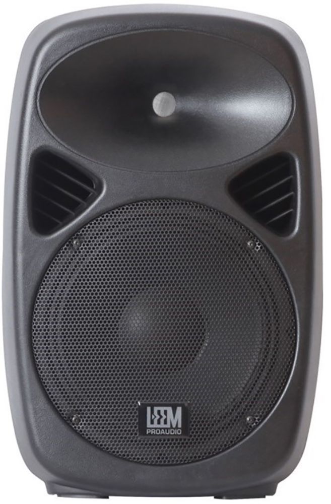 Leem SPA-8 Двухполосная активная акустическая система.